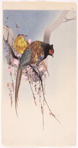 Sülünler ve Asma-Kiraz (renkli tahta baskı) by Ohara Koson