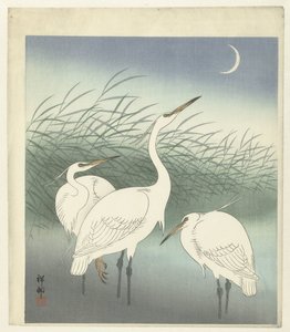 Sığ suda balıkçıllar by Ohara Koson