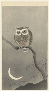 Hilal ay ile bir dalda ishak kuşu by Ohara Koson