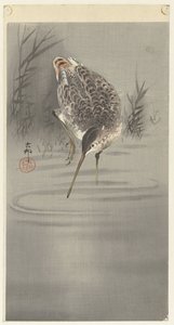 Suda kırpmak by Ohara Koson