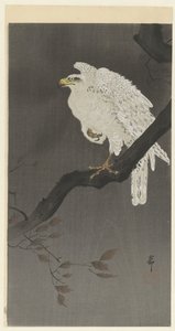 Bir dalda kar kartalı by Ohara Koson