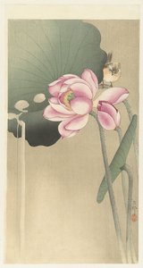 ötücü kuş ve lotus by Ohara Koson