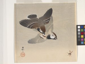 Uçan Böceği Kovalayan Serçeler (renkli tahta baskı) by Ohara Koson