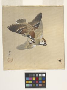 Uçan Böcekleri Kovalayan Serçeler (ipek üzerine mürekkep ve boya) by Ohara Koson