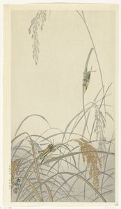 Pirinç bitkileri üzerinde çekirge by Ohara Koson