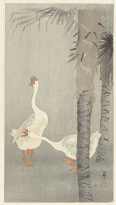 Her yer yağmurda by Ohara Koson