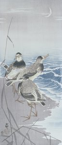 Su kenarında sazlıkların önünde üç çulluk (renkli tahta baskı) by Ohara Koson