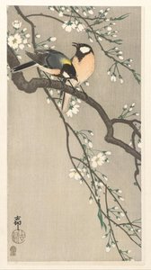 kiraz dalı göğüsleri by Ohara Koson