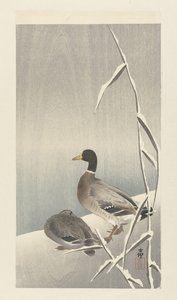 Karlı kamış üzerinde iki ördek by Ohara Koson