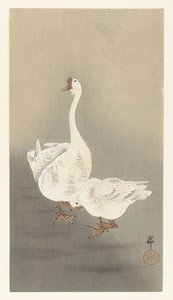 iki kaz by Ohara Koson