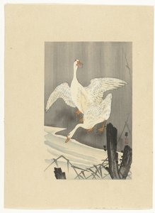 Bir nehir kenarında iki kaz by Ohara Koson