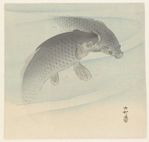 iki sazan by Ohara Koson