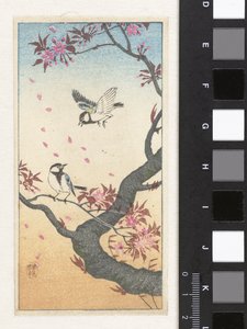 Çiçek açan bir ağaçta iki harika göğüsler by Ohara Koson
