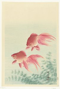 İki peçe kuyruk japon balığı by Ohara Koson