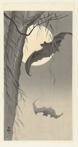 Dolunayda iki yarasa by Ohara Koson