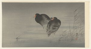 iki moorhen by Ohara Koson