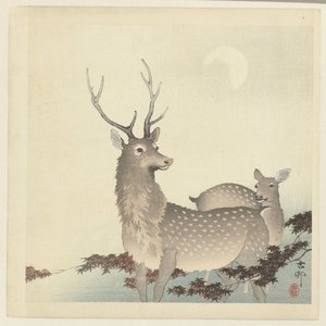 iki geyik by Ohara Koson