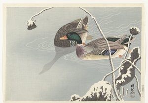 Karla Kaplı Bir Lotus