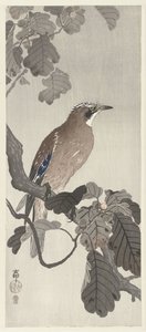 Ağaç dalı üzerinde Flaman gaai by Ohara Koson