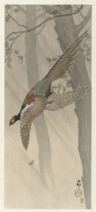 uçan sülün by Ohara Koson