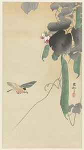 Çiçekli fasulye bitkisinde kuş by Ohara Koson