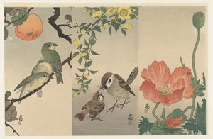 Kuşlar ve bitkiler by Ohara Koson