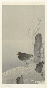 su hokkası by Ohara Koson