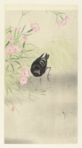 Moorhen, çiçekli bitki by Ohara Koson
