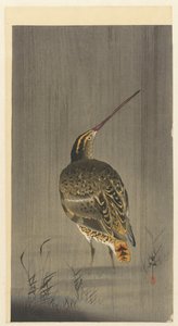 yağmurda su çulluğu by Ohara Koson