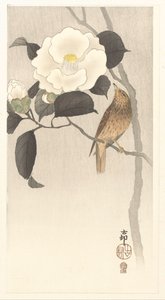 Songbird ve çiçek açan kamelya by Ohara Koson