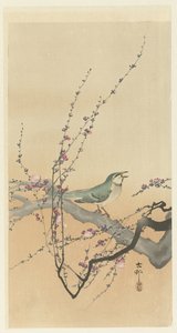 Songbird ve erik çiçeği. by Ohara Koson