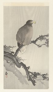 Dalda kel kartal by Ohara Koson