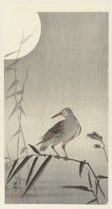 Bambu dalı üzerinde siyah binici by Ohara Koson