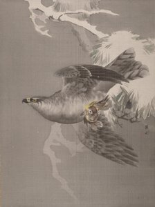 Küçük Bir Kuş Tutan Şahin, ca. 1891-92. by Okada Baison
