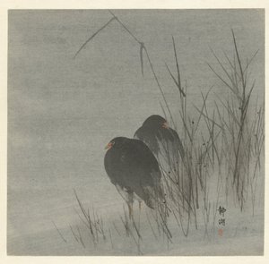 kamışlar arasında iki saz by Okuhara Seiko