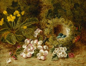 Elma Çiçekleri, Yosunlu Bir Bankada Bir Primrose ve Kuş Yuvası, by Oliver Clare