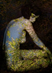  by Olivia Gozzano