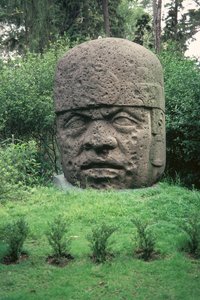 devasa kafa