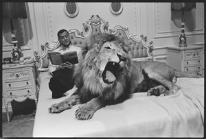 Tony Randall aslanla (Zamba), 