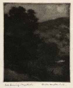 Akşamın geç vakti by Orville Houghton Peets