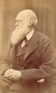 Charles Darwin