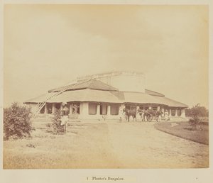 Ekici bungalovu