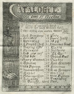 Katalog, 1878. by Otto H. Bacher