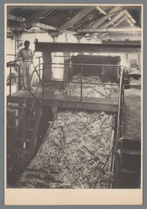 Baston kesici çalışır durumda by Otto Hisgen