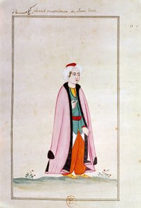 Osmanlı sanatı: genç bir Türk. Bir el yazmasından yazdır by Ottoman School