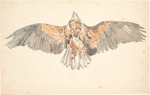 Uzanmış kanatları olan ölü bir akbaba by P.C. Skovgaard