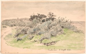 Peyzaj ile bodur. by P.C. Skovgaard