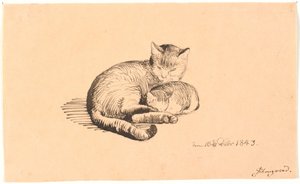Kedi yavrusu ile yalancı kedi. by P.C. Skovgaard
