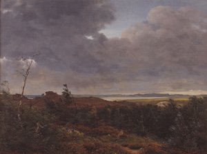 Tisvilde Wood, Kuzey Zelanda