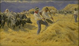 Abruzzi